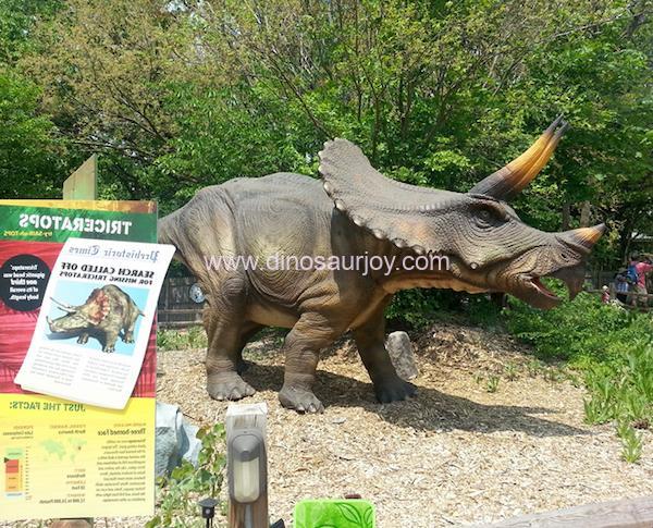 DWD1440-Big-Triceratops