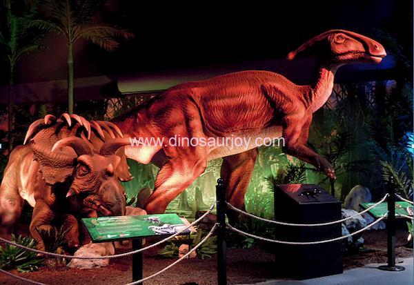DWD1447-Parasaurolophus DWD1447-Parasaurolophus