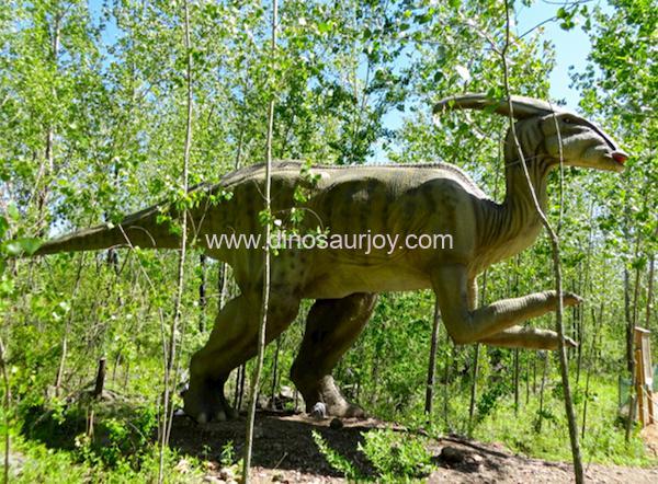 DWD1449-Parasaurolophus DWD1449-Parasaurolophus