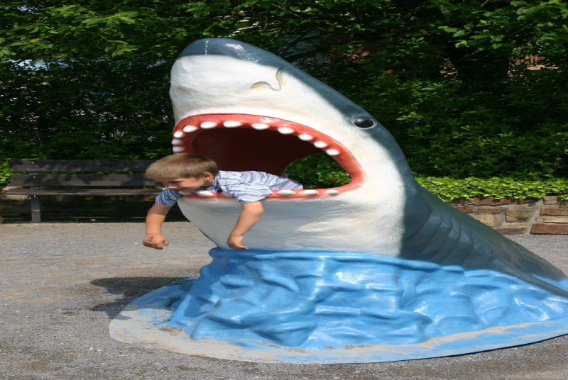 DWE026 Shark head