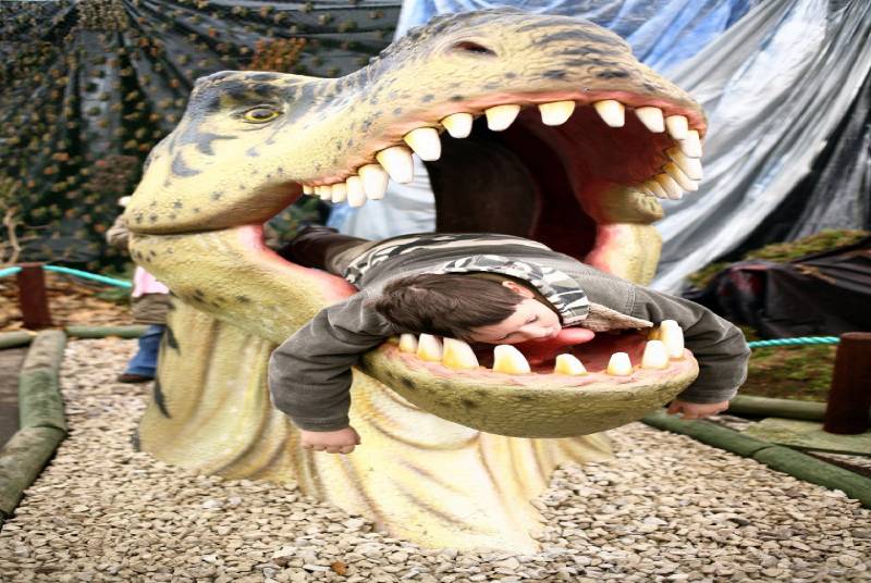 DWE027 Dino head