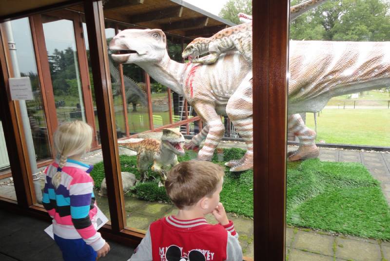 china dino 05-2012 (11)