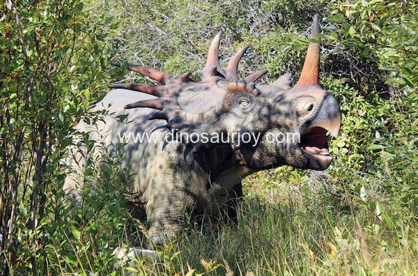 DWD1331 Adult Styracosaurus DWD1331 Adult Styracosaurus