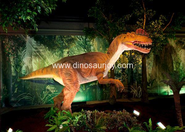 DWD1469 Dilophosaurus