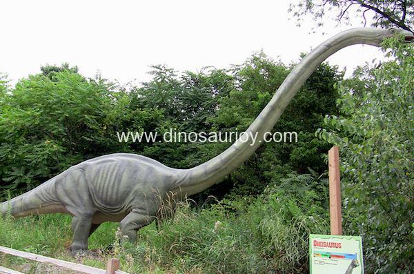 DWD1480 Young Omeisaurus