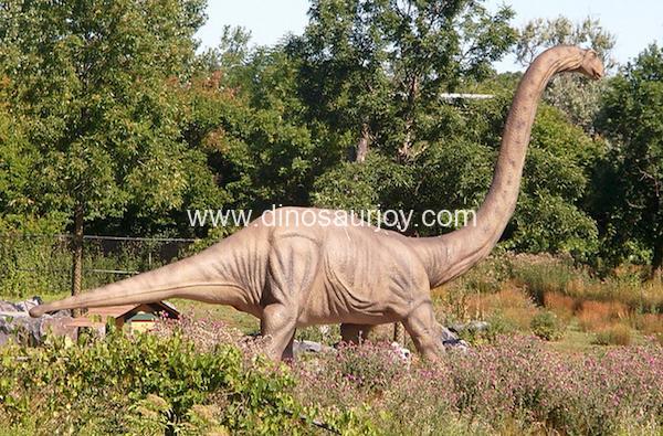 DWD1482 Young Omeisaurus