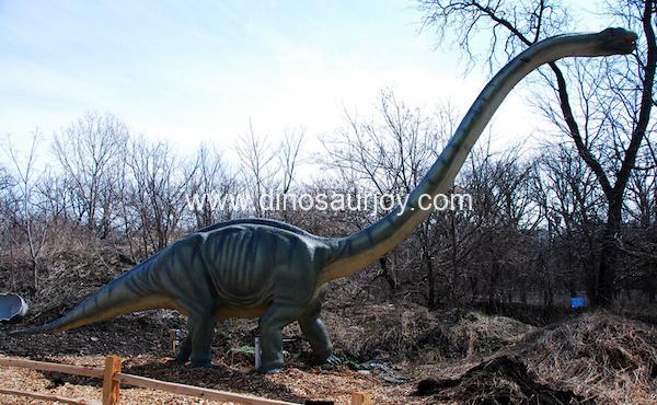 DWD1483 Young Omeisaurus
