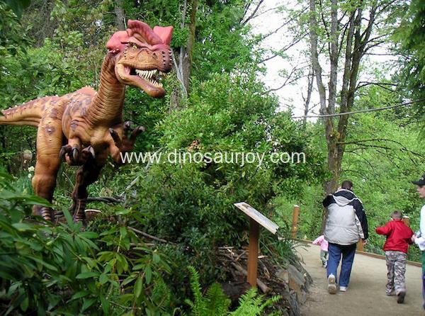 DWD177 Dilophosaurus DWD177 Dilophosaurus