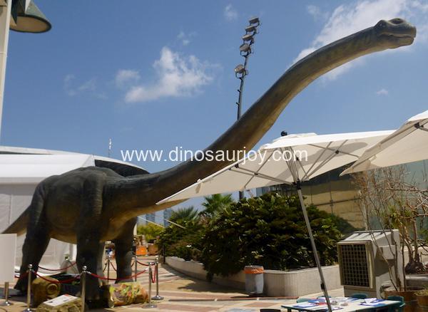 DWE1473 Big Mamenchisaurus DWE1473 Big Mamenchisaurus