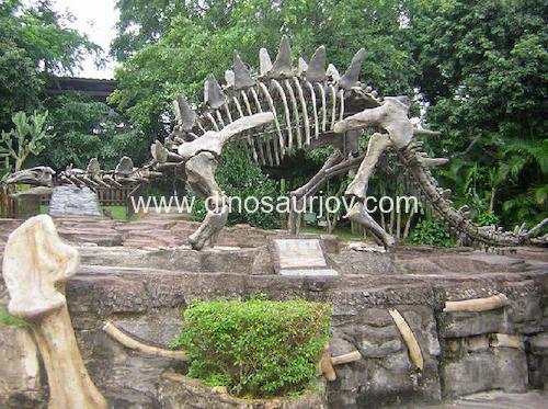 DWS004 Stegosaur Skeleton