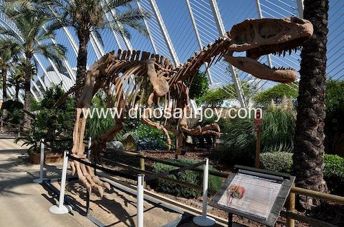 DWS008 Lufengosaurus Skeleton