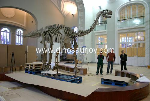 DWS018 Shunosaurus Skeleton