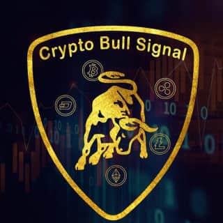 Crypto Bull Bitmex Experts
