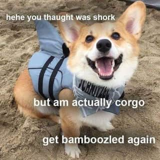 CORGOS