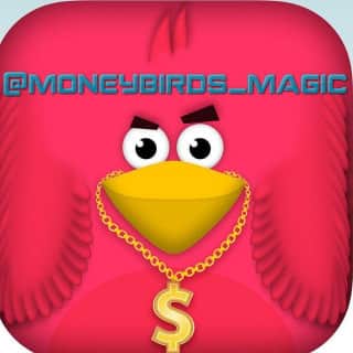 MoneyBirds