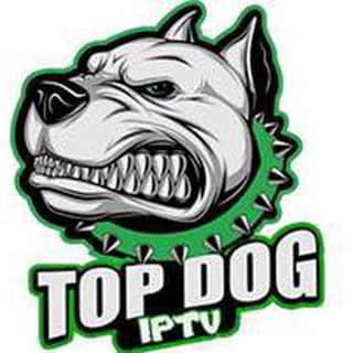 Top Dog CHANNEL/ROOM