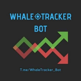 Whale Tracker Chat