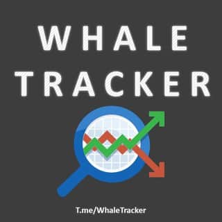 Whale Tracker