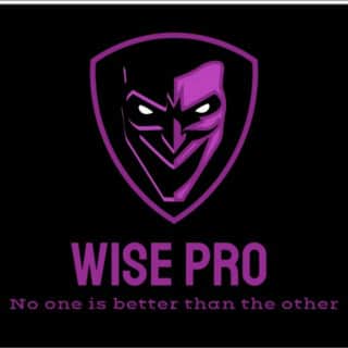 Wise Pro