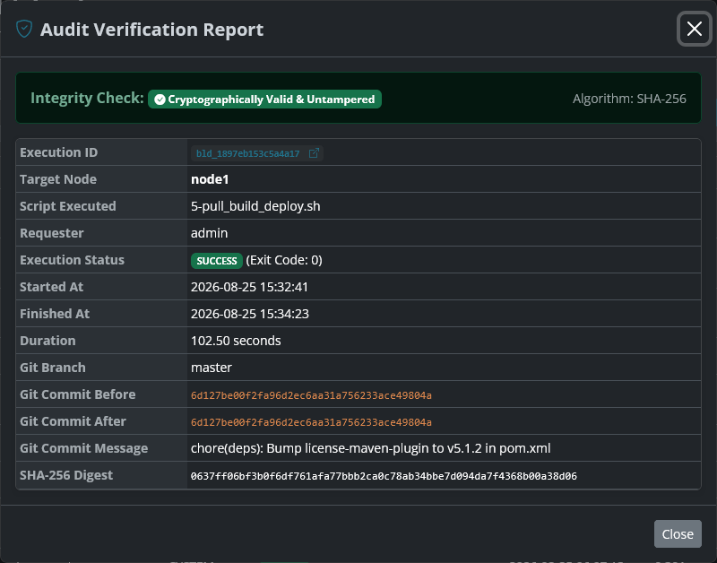 Audit Verification Report Modal