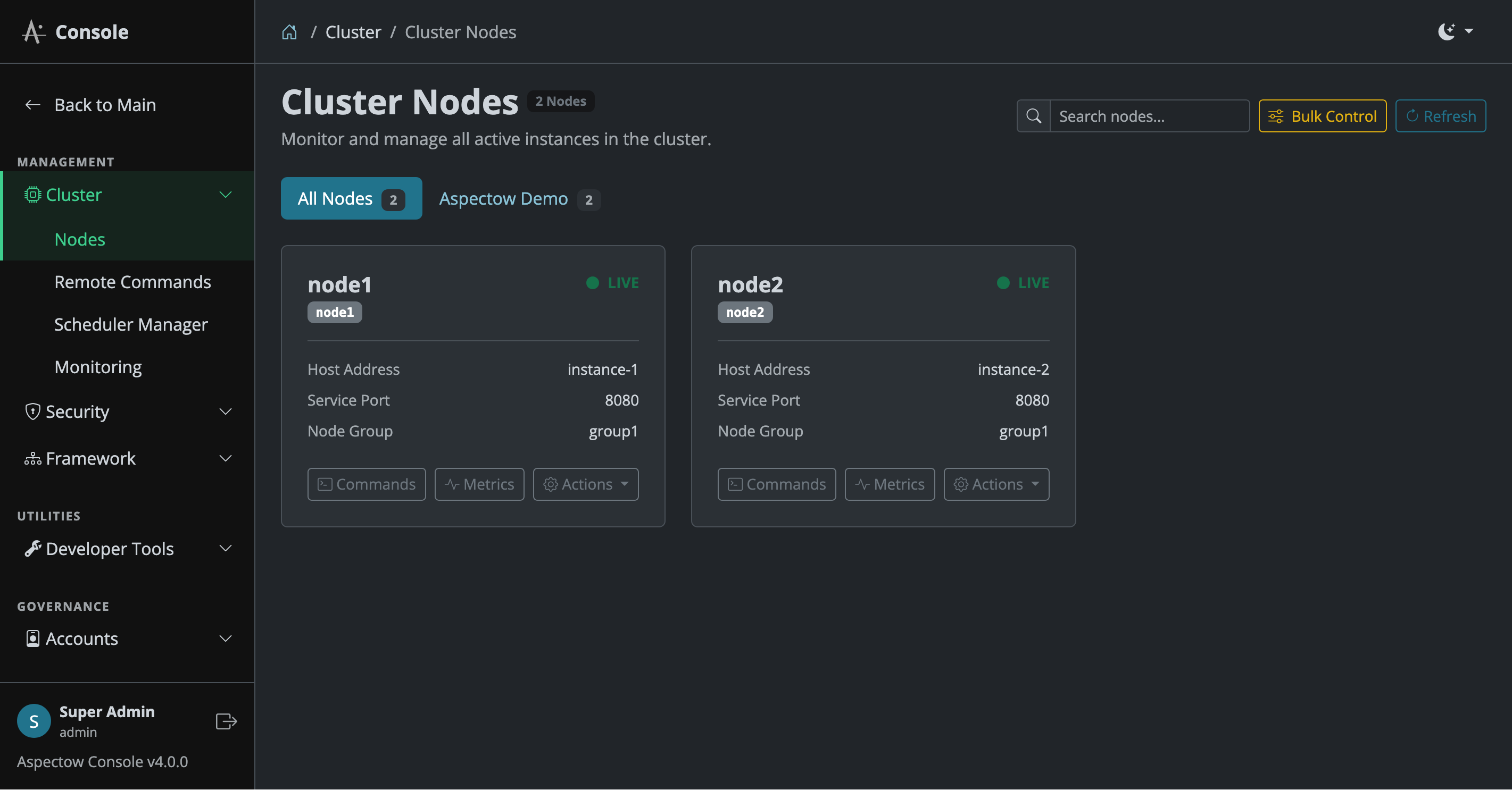 Cluster Nodes Management Screen