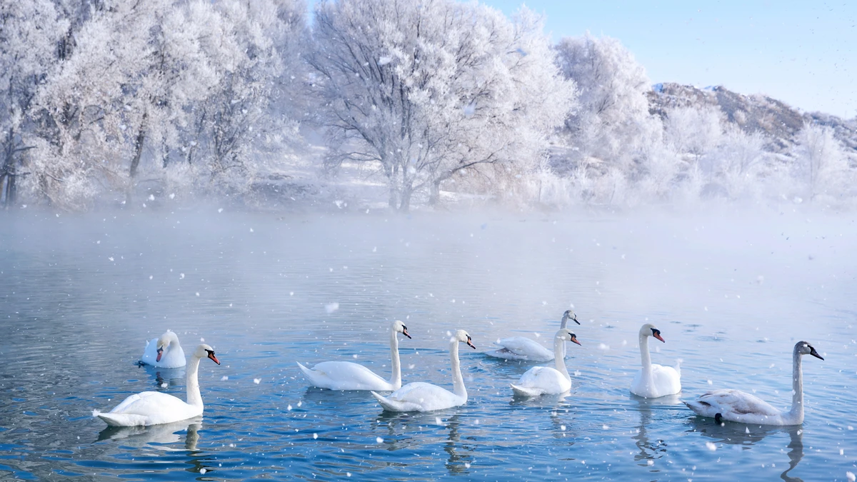 图片[4]-2026必应4K 风景壁纸：530张免费电脑桌面壁纸 - 搜源站-搜源站