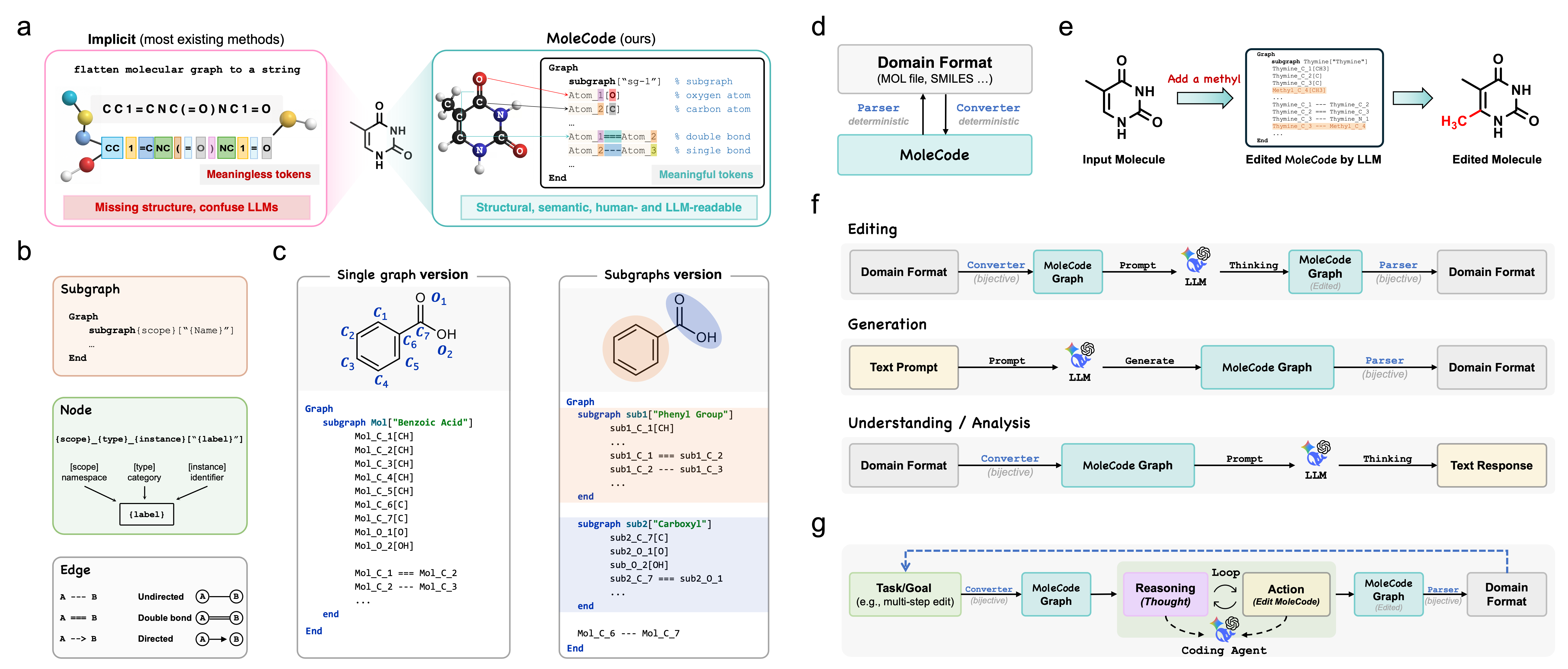 MoleCode overview