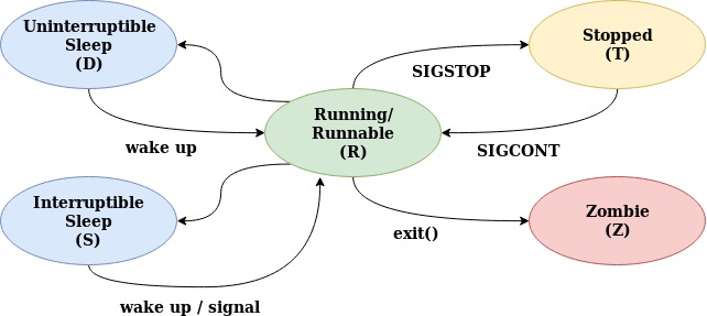 4QP21k https://cdn.jsdelivr.net/gh/atony2099/imgs@master/20210809/4QP21k.jpg