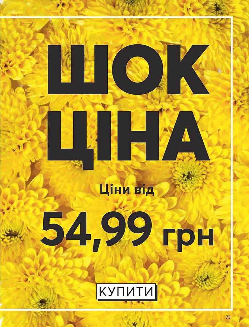 Каталог Эйвон