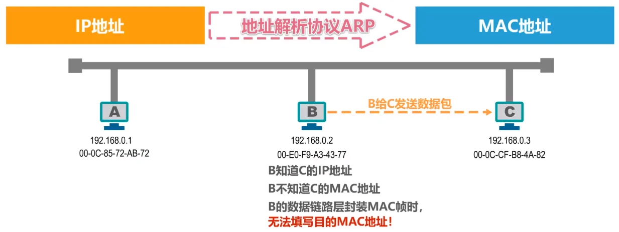 image-20210519025248915