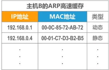 image-20210519025437186