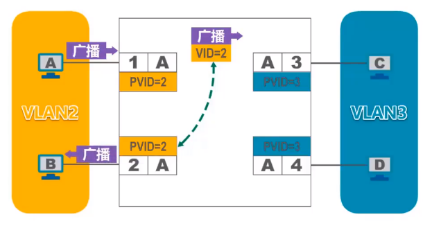 发送广播帧举例
