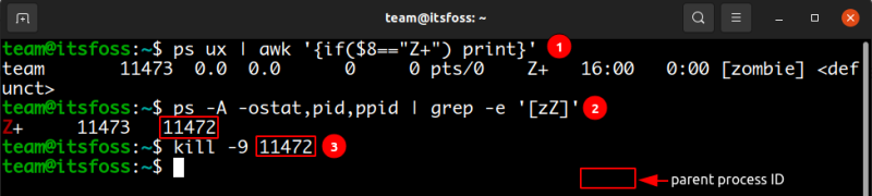 How To Identify And Kill Zombie Process In Linux