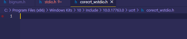 vscode bug