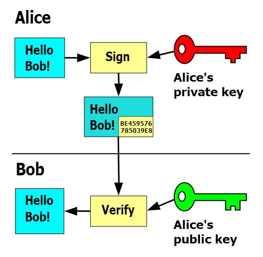 Digital signatures (RSA, ECDSA)