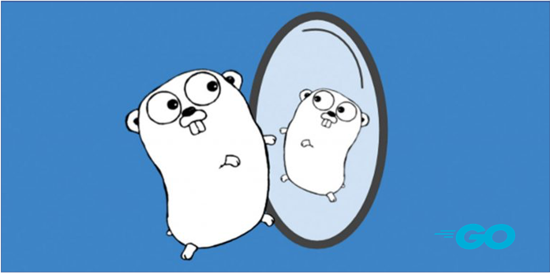 golang reflect