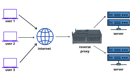 reverse proxy