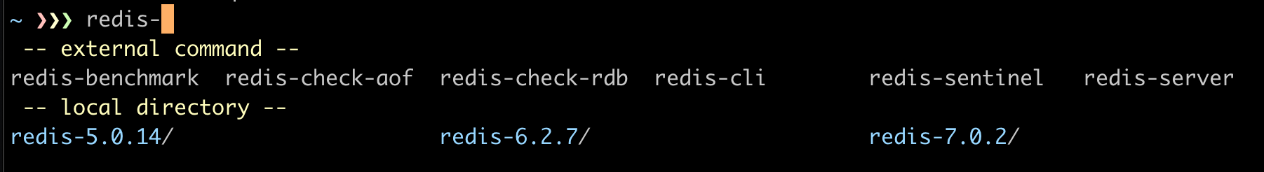redis server install