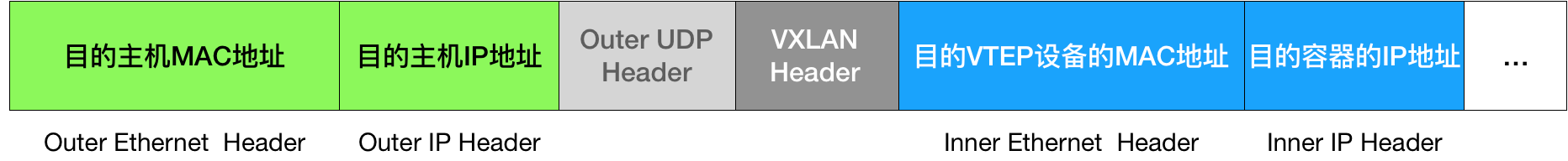 VxLAN Mode