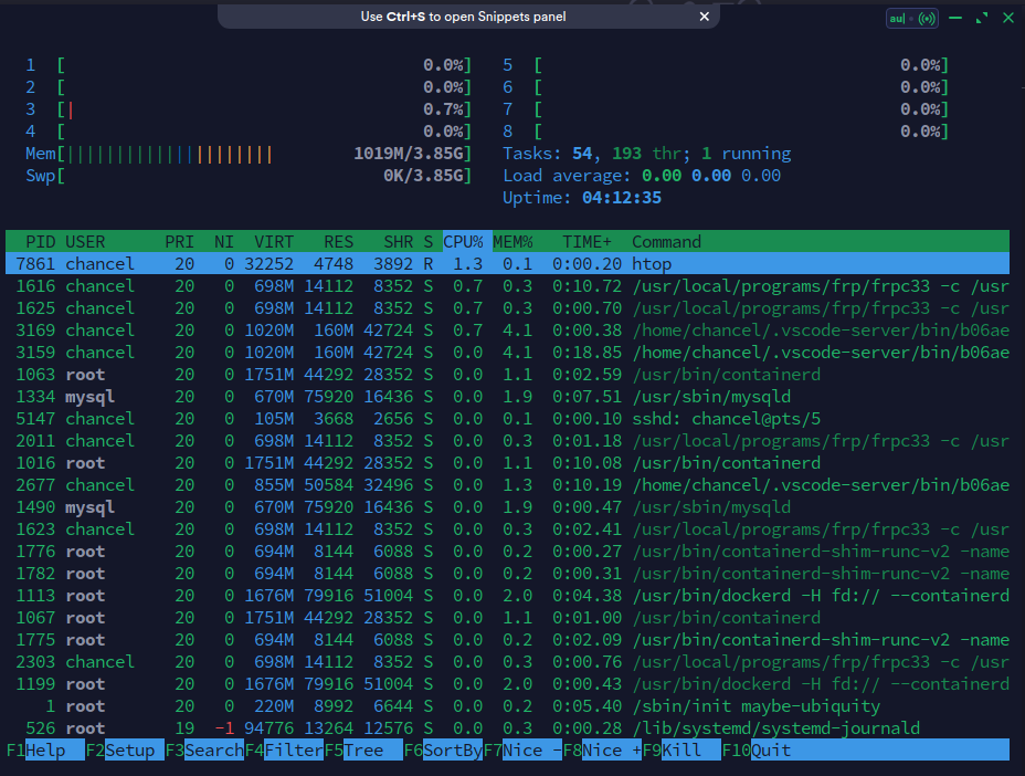 htop command