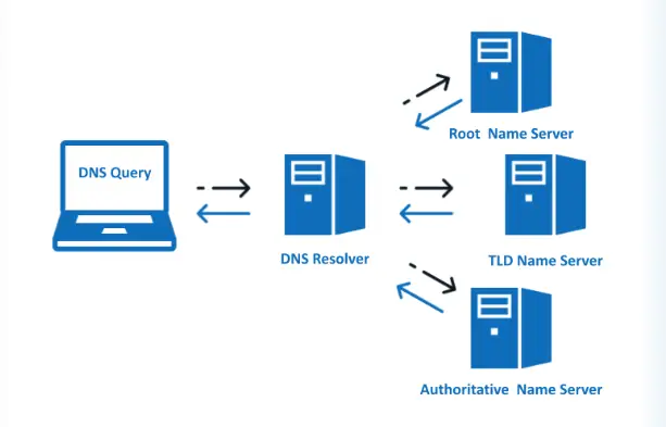 Four Types of DNS Servers