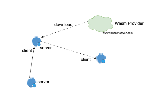 wasm provider