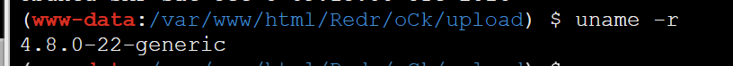 image-20230125222934524