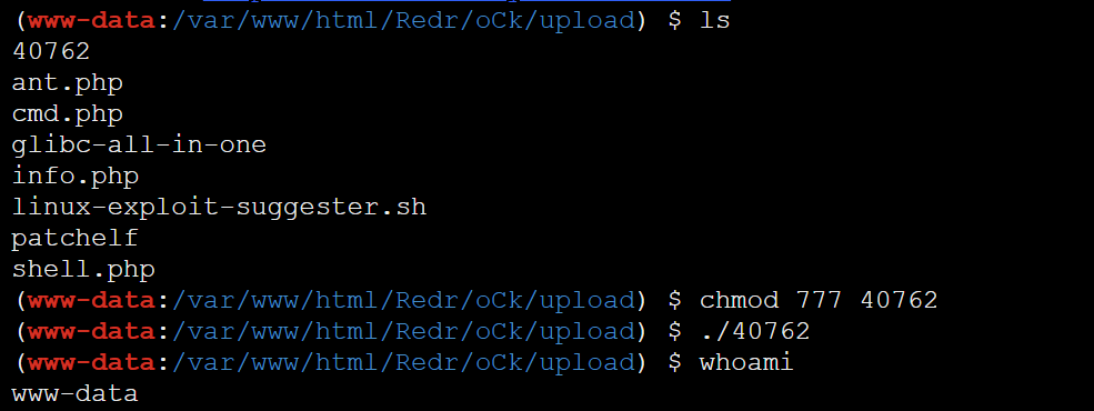 image-20230127133929635