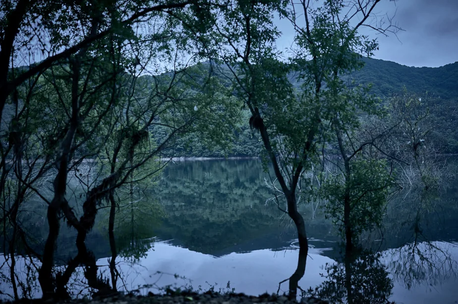 木々のシルエット越しに穏やかな湖面が反射する美しい風景ショット - 韓国を震撼させる映画『サルモクチ』の世界。忠清南道・礼山への聖地巡礼ガイド
