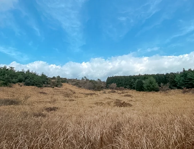 alt - 済州島西帰浦の高根山（コグンサン）で心身を癒すハイエンドトレッキング｜K-Life Hack