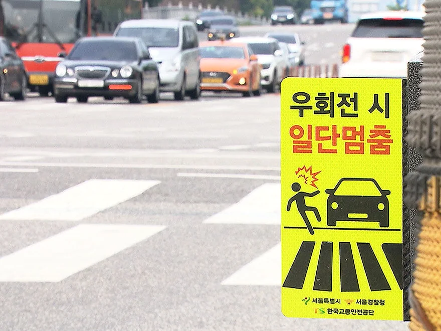 A candid shot from behind a traffic officer monitoring a line of vehicles at a busy pedestrian crosswalk - Navigating the Pause: The Essential 2026 Guide to Korea’s Right-Turn Regulations