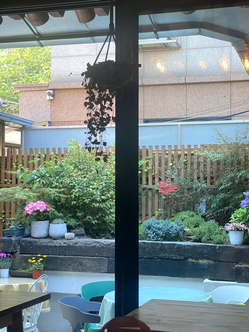 The serene courtyard garden featuring a variety of potted plants under natural daylight - A Sanctuary of Plant-Based Heritage: Exploring the 100-Year-Old Hanok of Vegan Insa